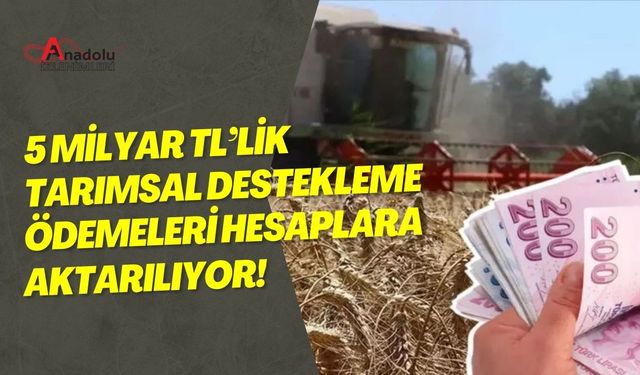 5 Milyar TL’lik Tarımsal Destekleme Ödemeleri Hesaplara Aktarılıyor!