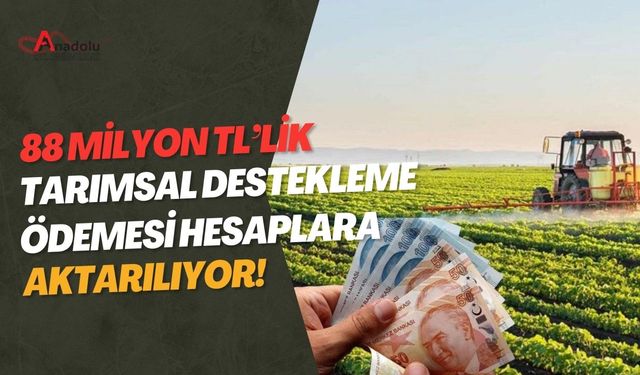 88 Milyon TL’lik Tarımsal Destekleme Ödemesi Hesaplara Aktarılıyor!