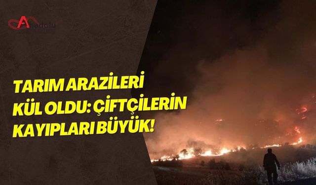 Tarım Arazileri Kül Oldu: Çiftçilerin Kayıpları Büyük!