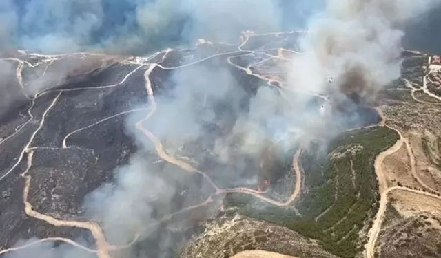 İzmir’de Çıkan Orman Yangınında 3 Kişi Hayatını Kaybetti