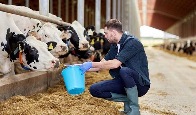 Tarımsal Örgütlerin Derecelendirme Sonuçları Açıklandı!