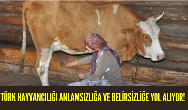 Türk Hayvancılığı Anlamsızlığa ve Belirsizliğe Yol Alıyor!