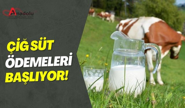 Çiğ Süt Ödemeleri Başlıyor!