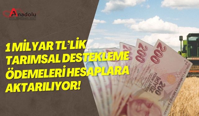 1 Milyar TL’lik Tarımsal Destekleme Ödemleri Hesaplara Aktarılıyor!