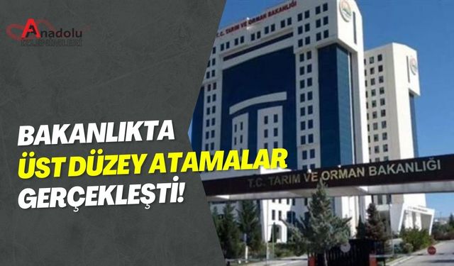 Bakanlıkta Üst Düzey Atamalar Gerçekleşti!