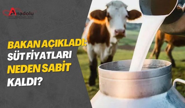 Bakan Açıkladı: Süt Fiyatları Neden Sabit Kaldı?