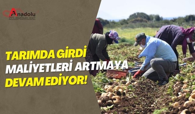 Tarımda Girdi Maliyetleri Artmaya Devam Ediyor!