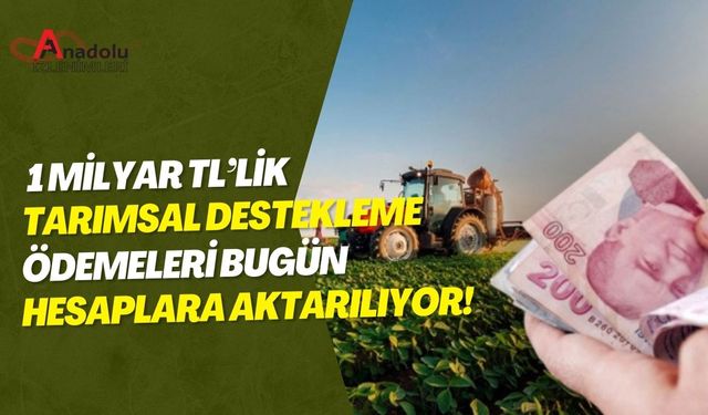 1 Milyar TL’lik Tarımsal Destekleme Ödemeleri Bugün Hesaplara Aktarılıyor!