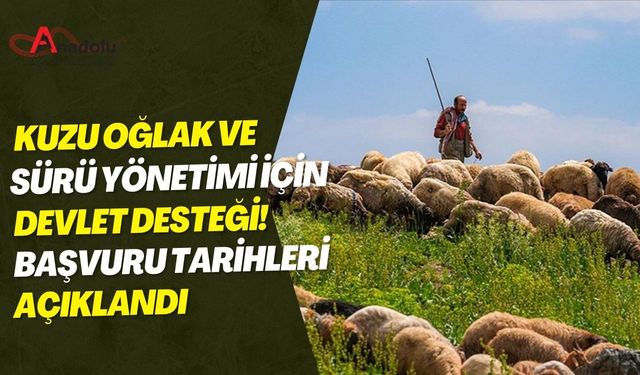 Kuzu Oğlak ve Sürü Yönetimi İçin Devlet Desteği! Başvuru Tarihleri Açıklandı