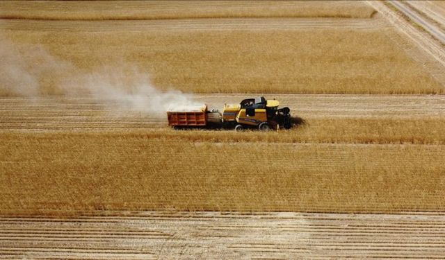 Başkan Çelik: Orta Vadeli Program Tarımsal Üretime Katkı Sağlayacak