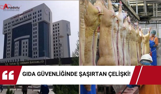 Gıda Güvenliğinde Şaşırtan Çelişki!