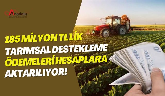 185 Milyon TL'lik Tarımsal Destekleme Ödemeleri Hesaplara Aktarılıyor!