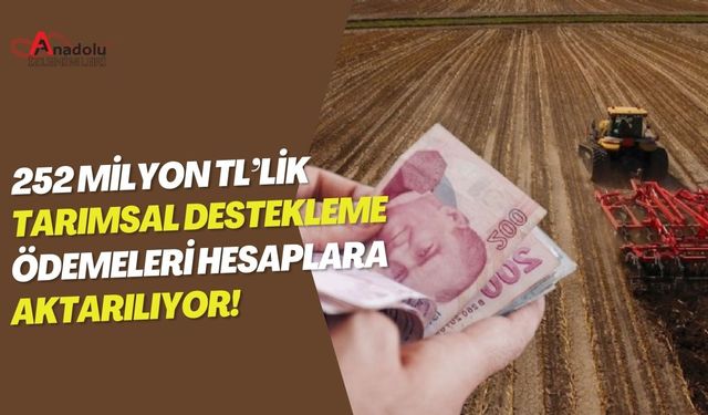 252 Milyon TL’lik Tarımsal Destekleme Ödemeleri Hesaplara Aktarılıyor!