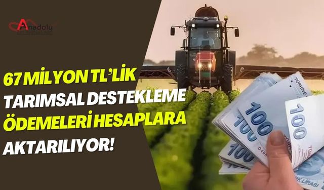 67 Milyon TL’lik Tarımsal Destekleme Ödemeleri Hesaplara Aktarılıyor!