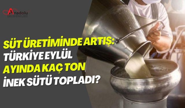 Süt Üretiminde Artış: Türkiye Eylül Ayında Kaç Ton İnek Sütü Topladı?