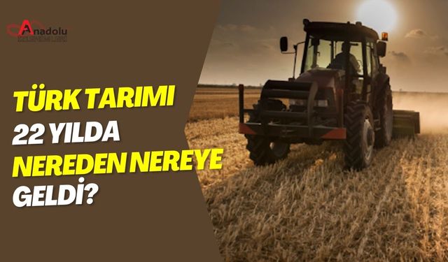 Türk Tarımı 22 Yılda Nereden Nereye Geldi?