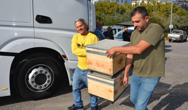 Büyükşehir’den Üreticilere Kovan Hibesi!