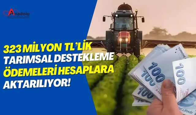 323 Milyon TL'lik Tarımsal Destekleme Ödemeleri Hesaplara Aktarılıyor!