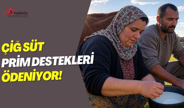 Çiğ Süt Prim Destekleri Ödeniyor!