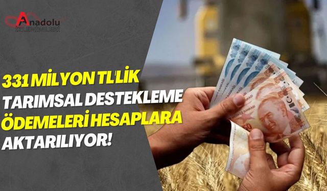 331 Milyon TL'lik Tarımsal Destekleme Ödemeleri Hesaplara Aktarılıyor!