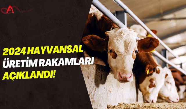 2024 Hayvansal Üretim Rakamları Açıklandı!