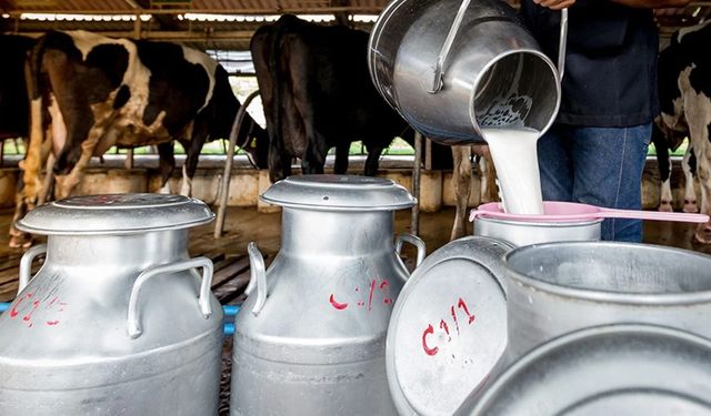 Gürer’den Çağrı: Süt Üreticisine Destek Olunmazsa Sektör Çöker