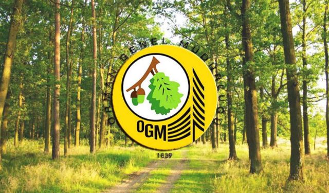 Resmi Gazete Duyurdu: OGM 4.500 İşçi Alıyor!