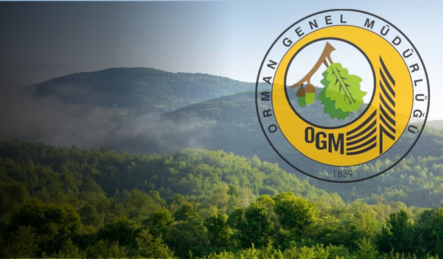 Orman Genel Müdürlüğü 105 Sözleşmeli Personel Alımı!