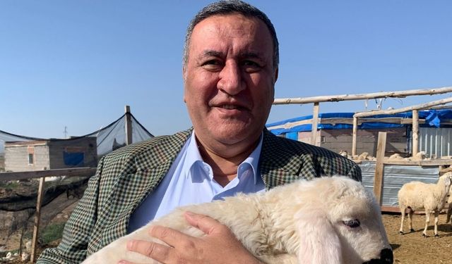 Tarımda İcra Zinciri Keçiye Kadar Geldi mi?