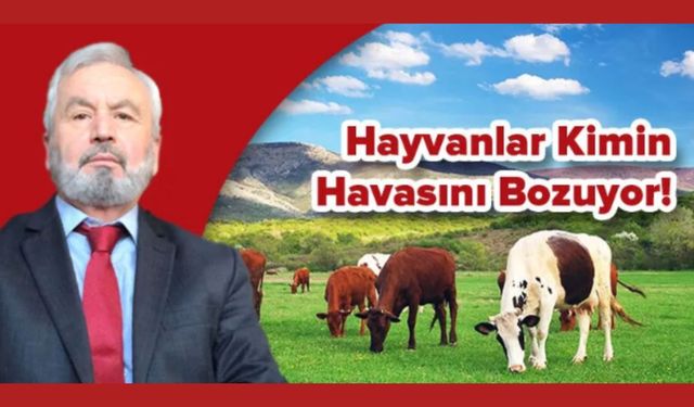 HAYVANLAR KİMİN HAVASINI BOZUYOR !