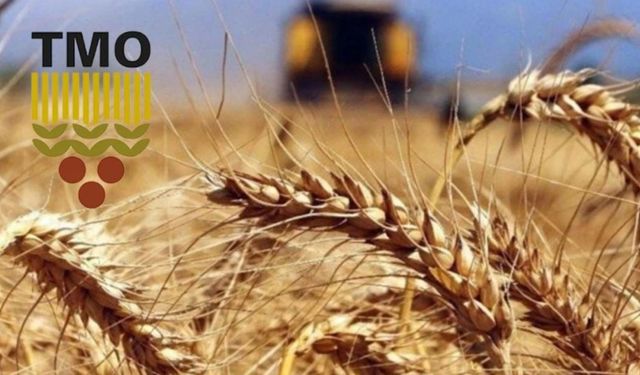 Bakan Yumaklı Duyurdu: TMO Ödemeleri Başladı!