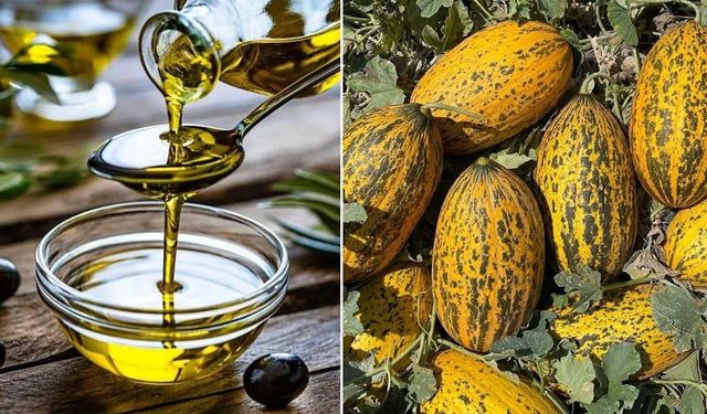 AB’den Türk Zeytinyağı ve Kavuna Tescil Onayı