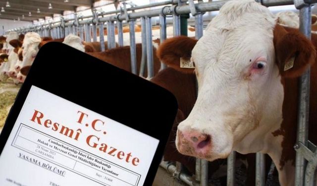 Cumhurbaşkanlığı Kararıyla Görev Değişikliği!