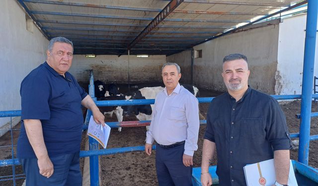 Gürer’den Hayvancılık Raporu: Ne Üreten Kazanıyor Ne Tüketen Ete Ulaşıyor