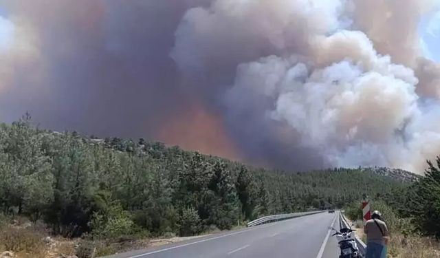 Mersin’in Silifke İlçesinde 3 Ayrı Noktada Orman Yangını