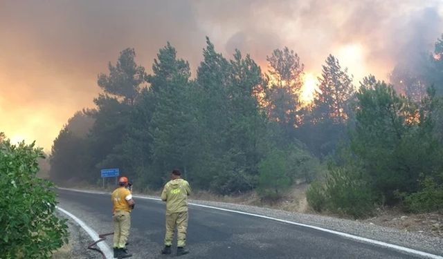 Aydın’da Yangın Kontrol Altında, Kastamonu’da Müdahale Sürüyor
