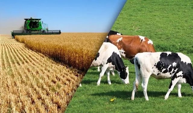 2026 Tarım Desteklerinde Neler Değişti? İşte Yeni Rakamlar