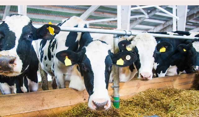 TİGEM’den Bölge Ekonomisine Katkı Sağlayacak Satış!