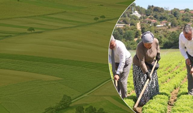 Çiftçiye Dev Destek!