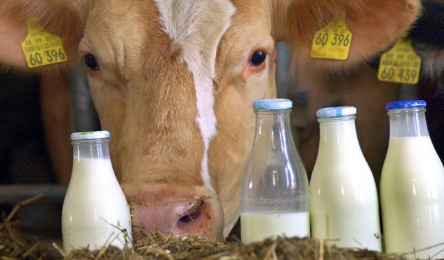Türkiye Çiğ Süt Fiyatında Sınıfta Kaldı!