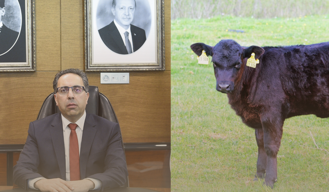 Güçlü Besi Projesi Çıkar Çatışması İddialarını Gündeme Taşıdı!