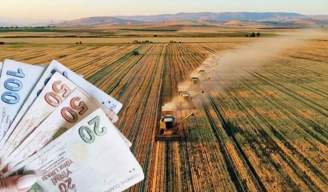 320 Milyon TL’lik Tarımsal Destekleme Ödemeleri Hesaplara Aktarılıyor!