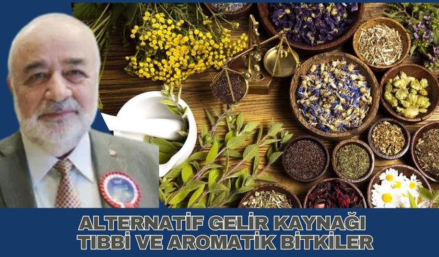 ALTERNATİF GELİR KAYNAĞI TIBBİ VE AROMATİK BİTKİLER