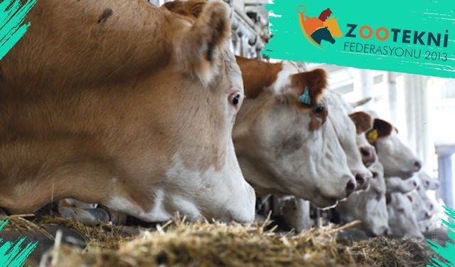 Hayvansal Üretimin Paydaşı Zootekni Federasyonu 12 Yaşında