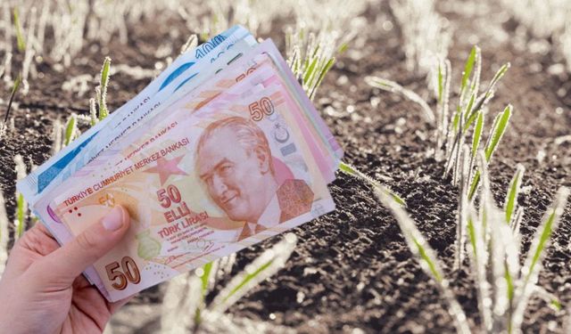 Zirai Dondan Etkilenen Üreticilere 13 Milyar TL’lik Destek Ödemesi!