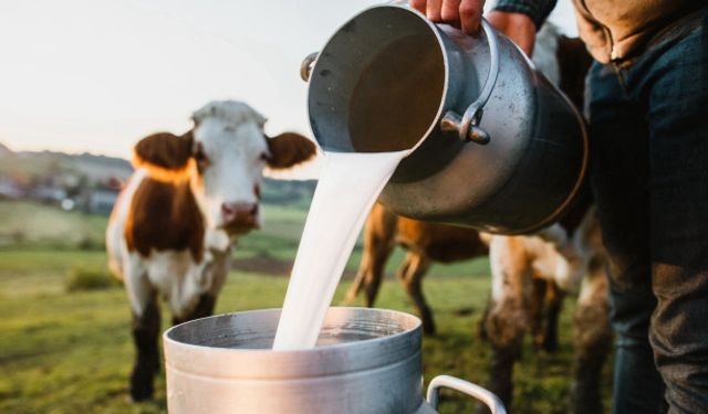 Resmi Gazete’de Yayımlandı: Çiğ Sütte Yeni Dönem!