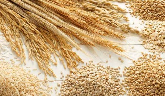 10 Ayda 10 Milyar Dolarlık Hububat ve Bakliyat İhracatı!