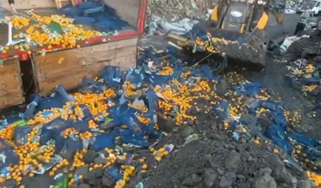 İhraç Mandalinasında Zirai İlaç Alarmı!