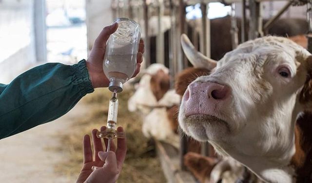 Prof. Dr. Yarsan Uyarıyor: Antimikrobiyal Direnci Görmezden Gelmeyin