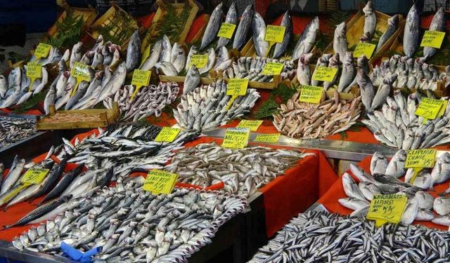 Bakanlıktan 7 Balık Türüne Tescil Kararı!